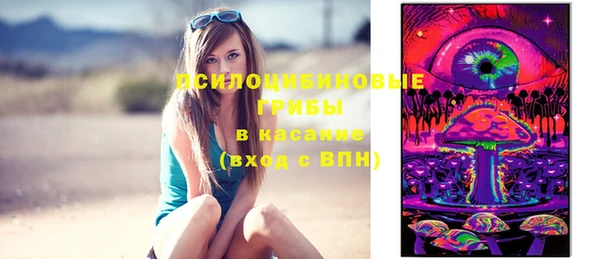MDMA Бородино
