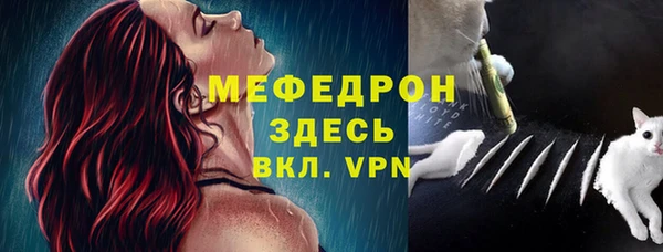 индика Бугульма