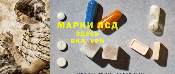 индика Бугульма