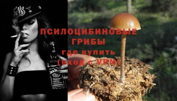 хмурый Бронницы