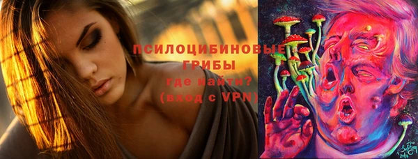 хмурый Бронницы