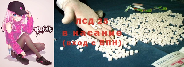 индика Бугульма