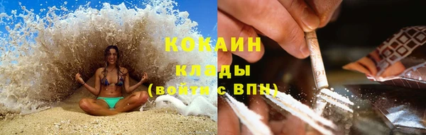 индика Бугульма